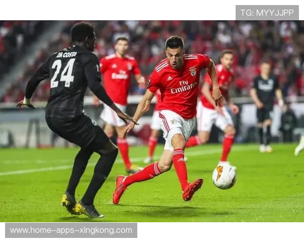 主场的力量：本菲卡凭借团队配合拿下宝贵三分，现场气氛热烈