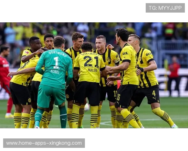 德甲多特外围传球准确,进攻端多次建功——用科技点亮团队协作的力量