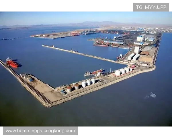 海港功勋离队会带来哪些战术影响？